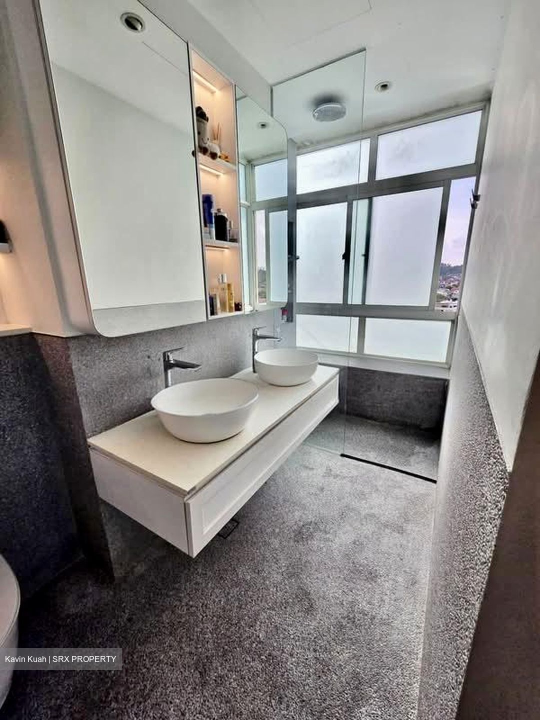 The Cascadia (D21), Condominium #597439091